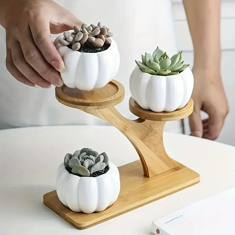 Bamboo Plant Stand - 3-Tier Indoor Succulent Shelf for Home and Office Decor