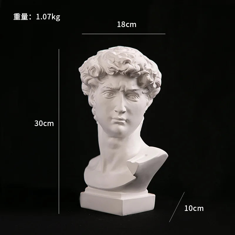 Modern Abstract David Head Bust Sculpture - Elegant European Home Decor Resin Statue for Artistic Touch